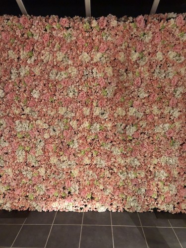 Flower wall hire - hire, birmingham
