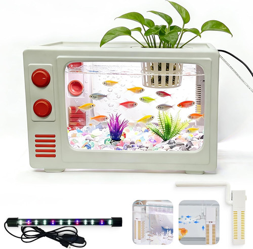 Gallon fish tank - fish, aquarium