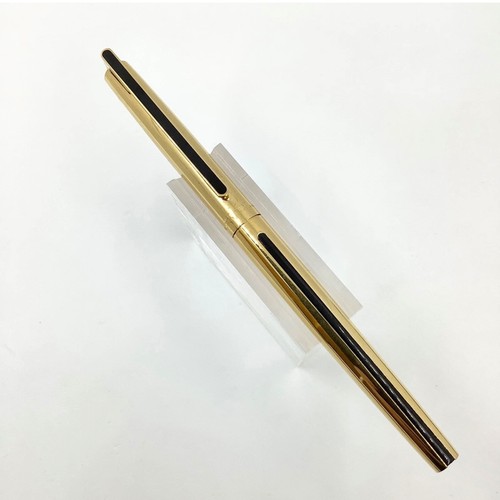 Waterman director general - , gold