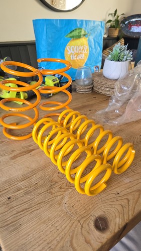 Mountune lowering springs - mountune,