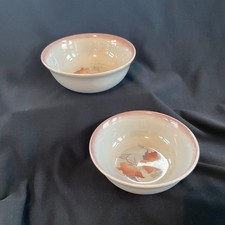 2 x DENBY TWIGHLIGHT CEREAL /