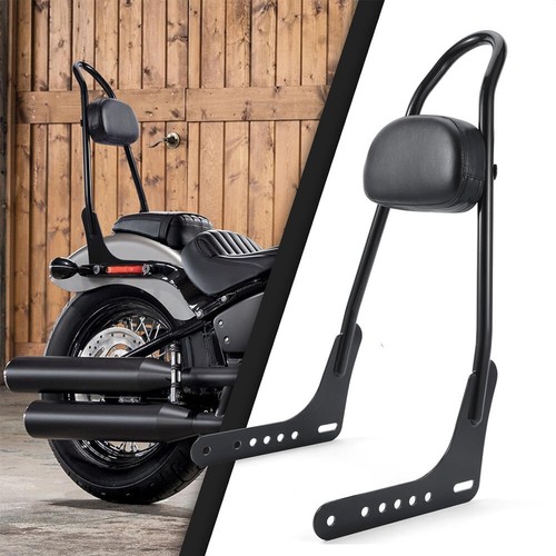 Rear passenger sissy bar - passenger,