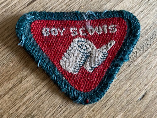Boy scouts badge - -, wolf