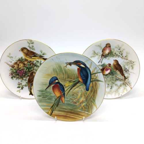Coalport john gould birds - coalport,