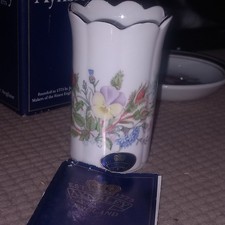 Aynsley Wild Tudor Fine Bone