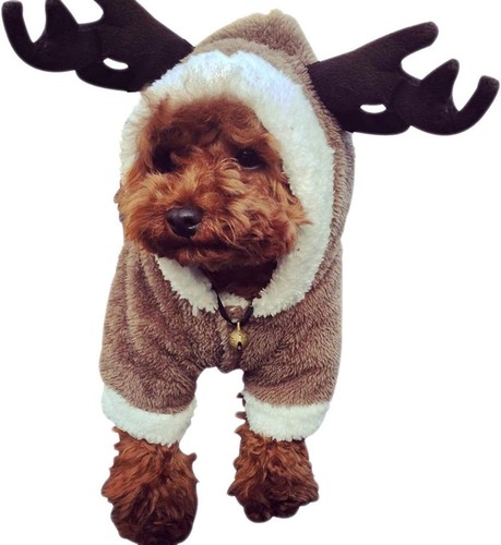 Xmas dog outfit reinder deer - xmas,