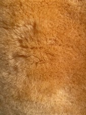 1 Pair Soft Warm Sheepskin insoles Size 3/4;7/8;9/10 Message Size @checkout