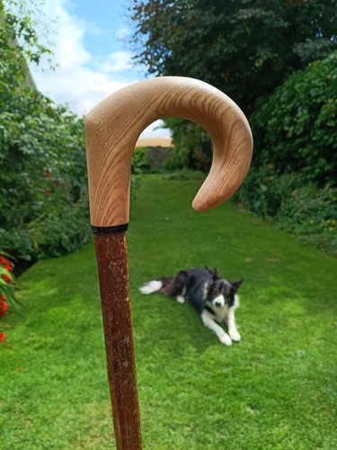 Hand carved walking - hand,