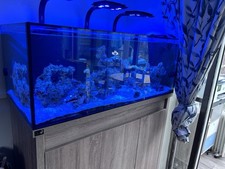 DD Reef Pro 1200 Marine Tank (aquarium only, Livestock Not Included)