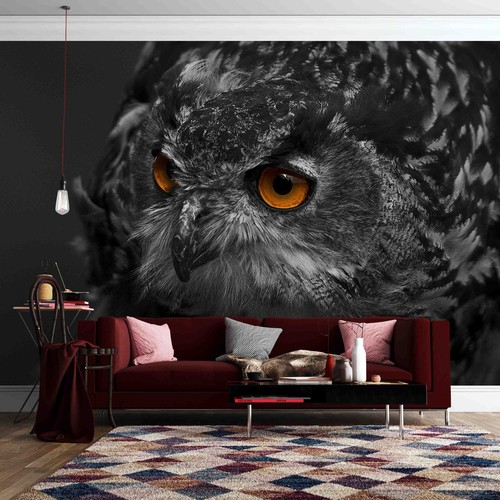 Owl self adhesive - 3d, self-adhesive