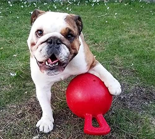 Jolly pets tug toss - tug-n-toss, toy