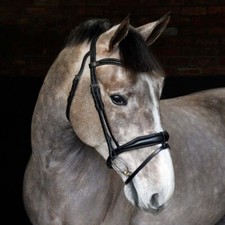 Cottage Craft Flash Bridle