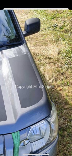 Freelander bonnet side - freelander, flank