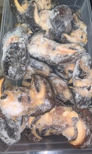 Fresh frozen jumbo snails - frozen,