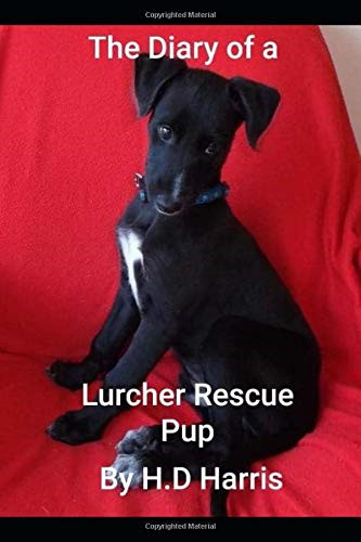The diary rescue lurcher - a,