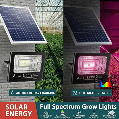 Solar 60w full - full, spectram