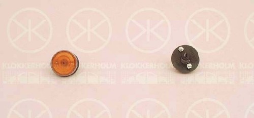Direction indicator light - indicator,