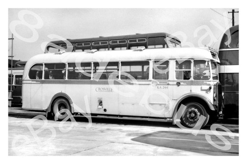 Bus photograph crosville motor - photograph,
