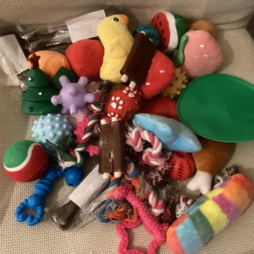 Wholesale joblot dog - wholesale,