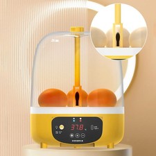 Eggs Incubator   Brooder