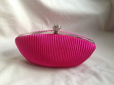 Women's Clutch Bag / Handbag -