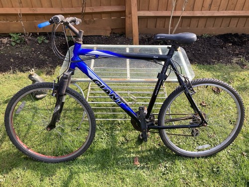 Giant mountain bike - mountain,