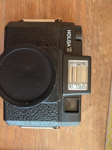 Holga 120 camera hardly - sf,