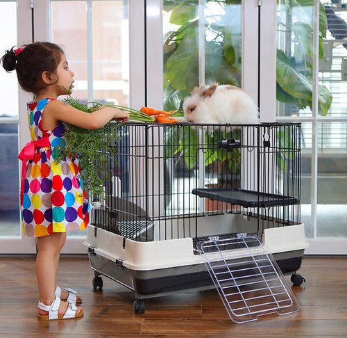Xlarge indoor 2 floor - xlarge, 32"