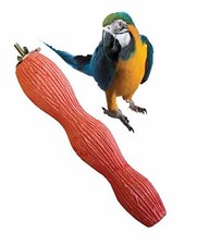 HAPPYPET LARGE BIRD PARROT 10"