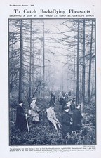 Lord St Oswald's Pheasant