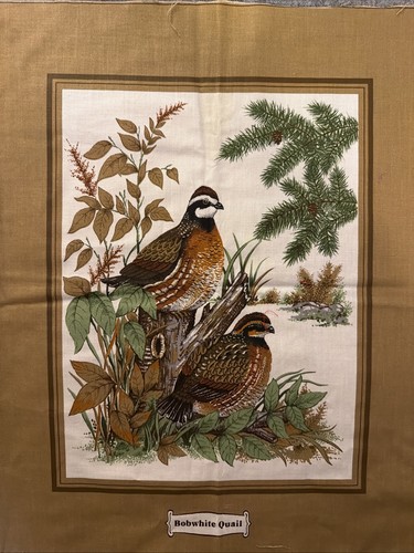 Vintage bobwhite quail fabric - vintage,