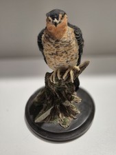 The Country Bird Collection - Sparrowhawk - Eaglemoss Andy Pearce Hand Painted