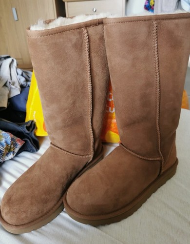 Woman ugg classic tall brown - tall,