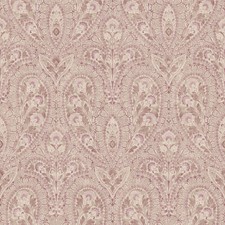 AF37727 - Abby Rose 4