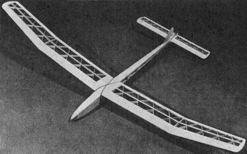 Eagle glider wingspan - eagle,
