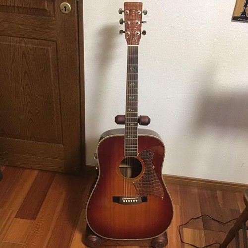 Electric acoustic guitar - electric,
