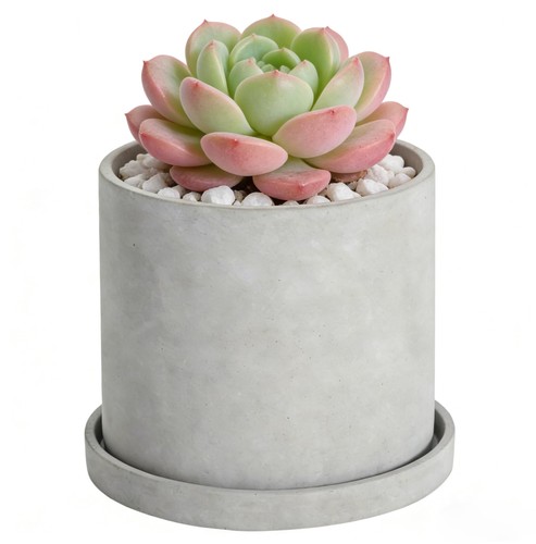 Inch indoor concrete plant - 6,