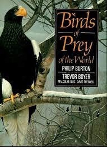 Birds prey boyer - of,