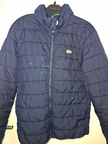 Lacoste men navy - men's,