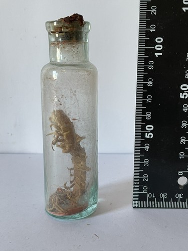 Antique small thin glass - antique,