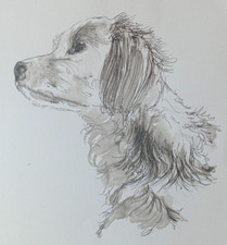 Original Small Hand Drawn Pen