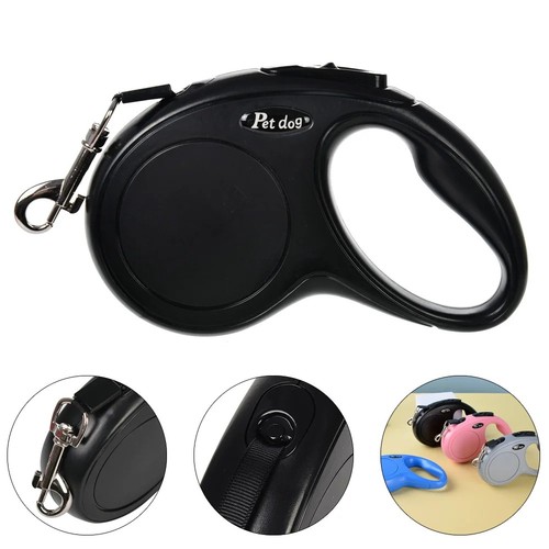 Retractable dog lead - dog,