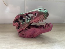 Small T Rex Skull Model 3d