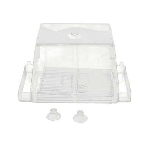 Fish isolation box - fish, breeding