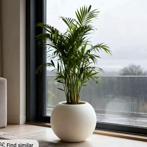 Round white concrete flower - round,