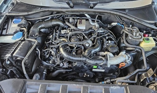 Genuine audi 3 0 bug - genuine,