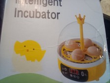 incubator for hatching eggs