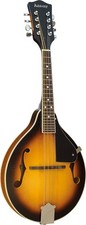 Ashbury AM-10 BLUEGRASS