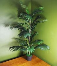 Extra Large Palm Tree