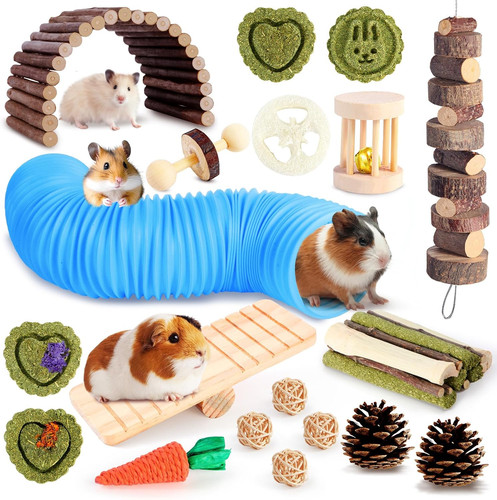 Hamster toys guinea - guinea, pig
